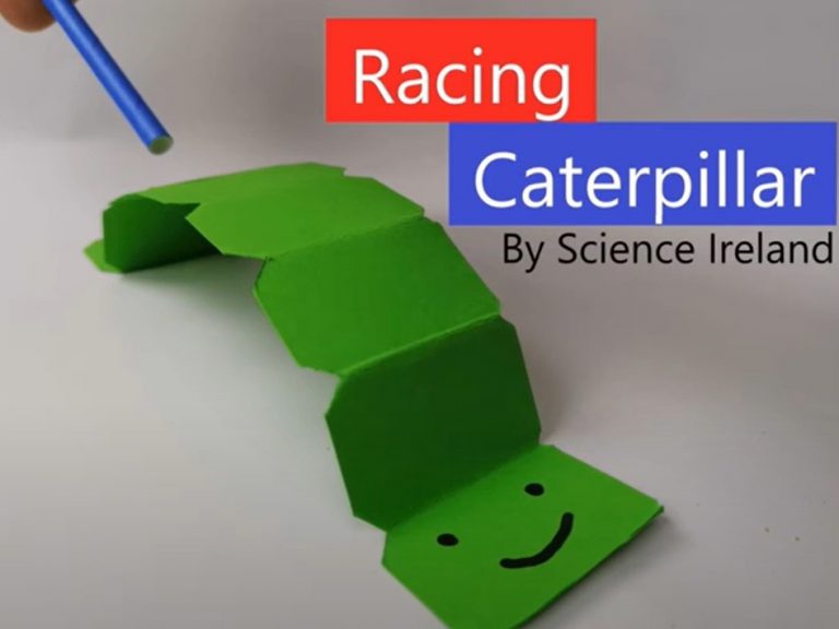 Racing Caterpillar